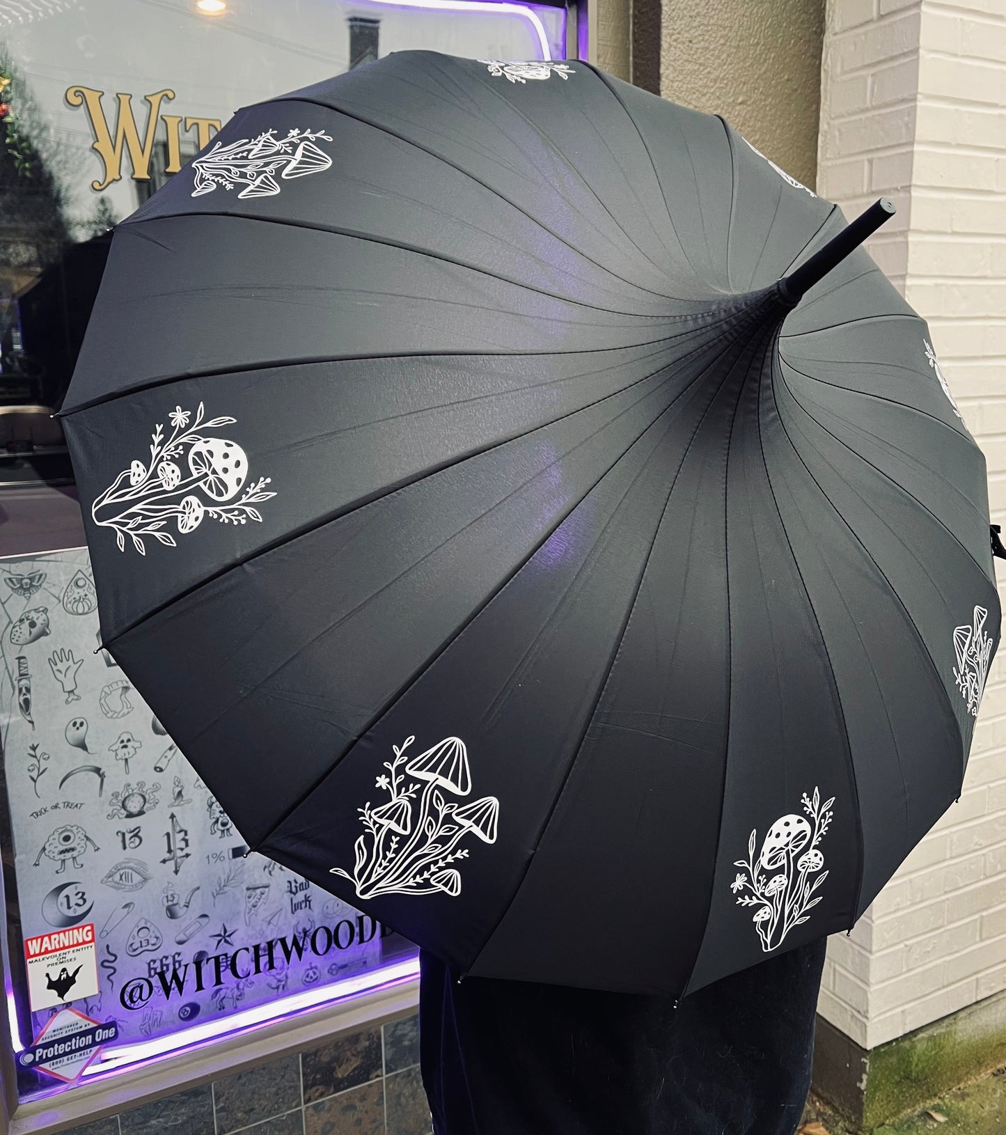 Mushrooms Umbrella