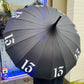 13 Umbrella