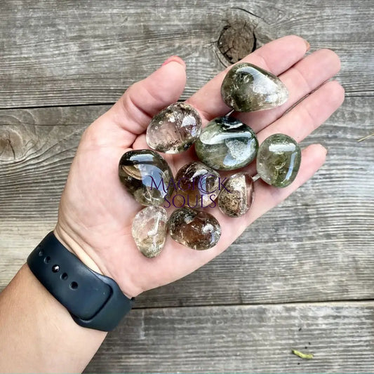 Lodolite Garden Quartz Tumble Crystal