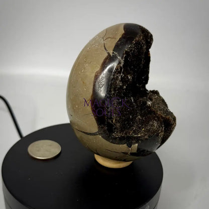 Septarian Druzy Dragon Egg UV Reactive