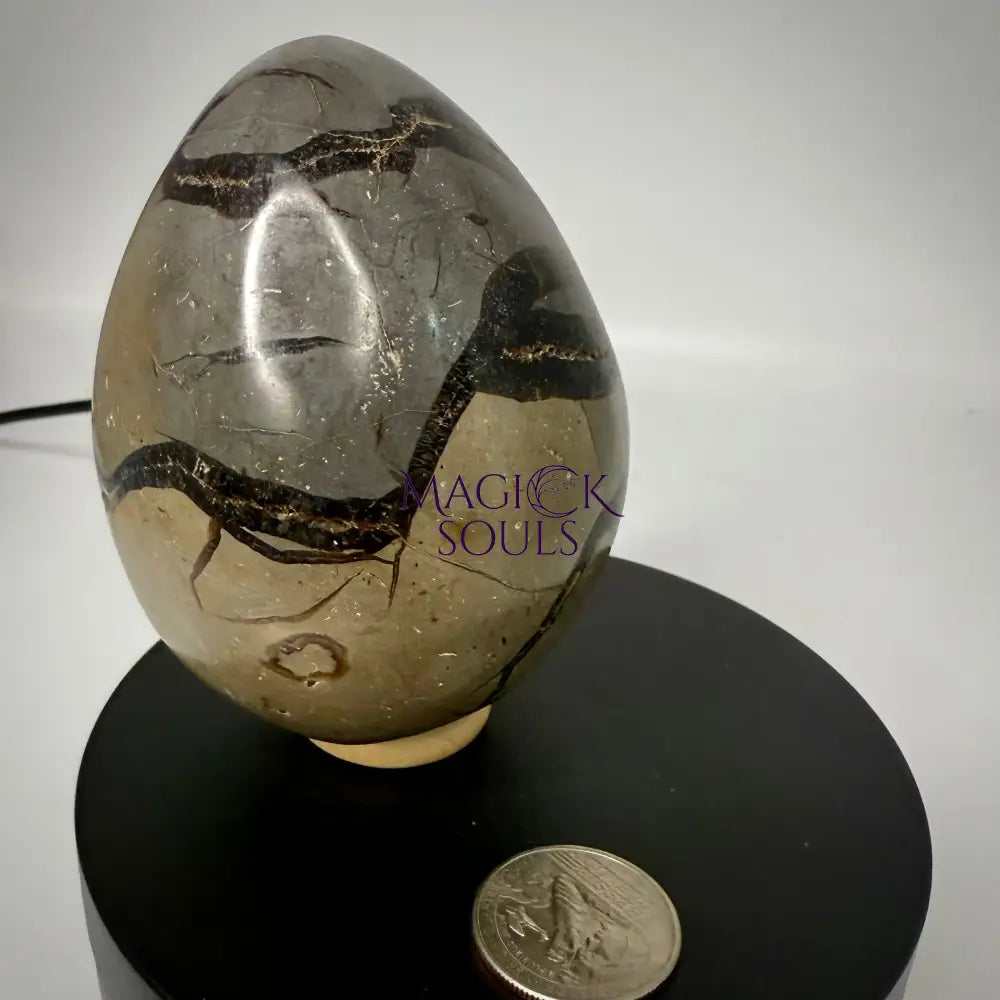 Septarian Druzy Dragon Egg UV Reactive