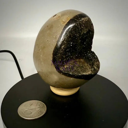 Septarian Druzy Dragon Egg UV Reactive