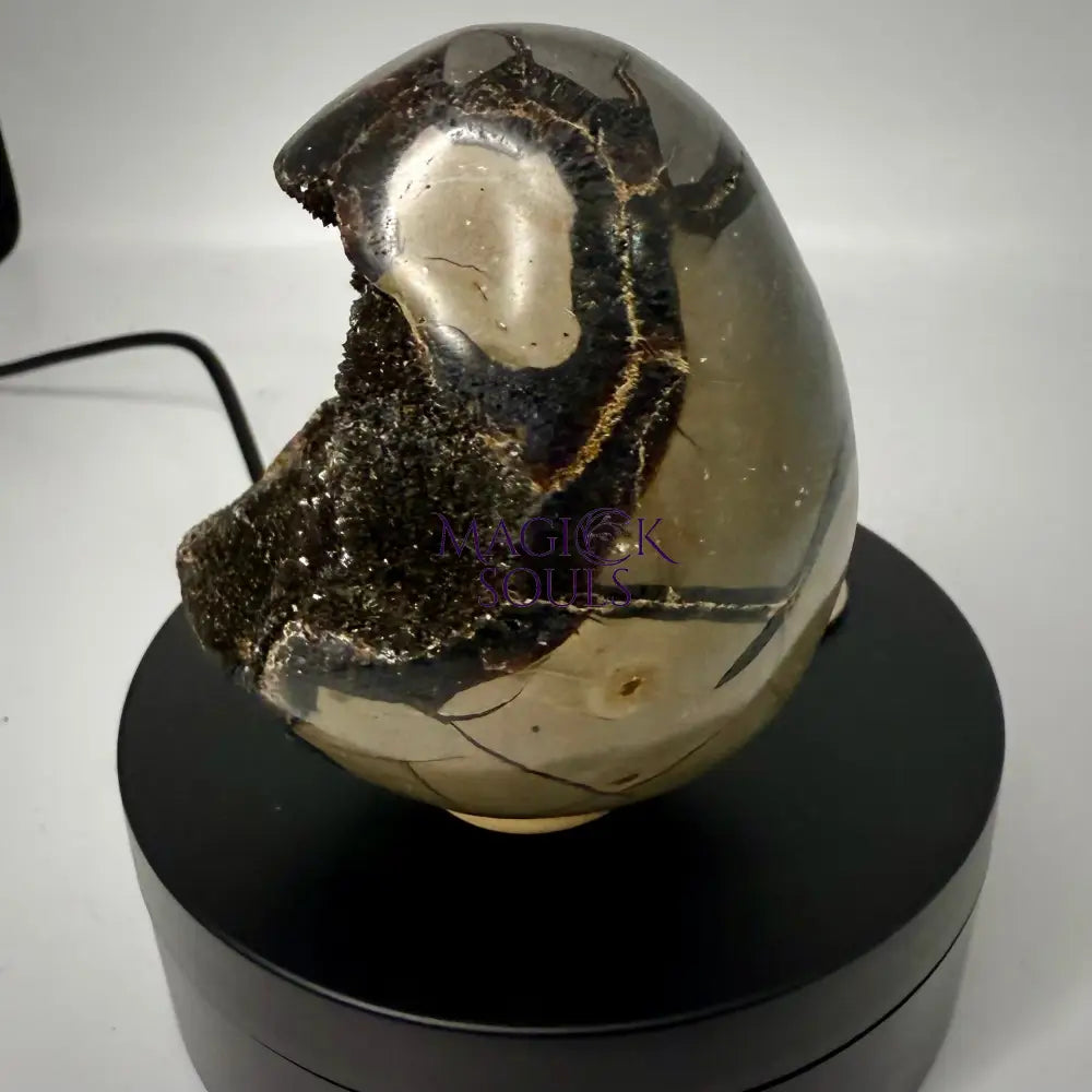 Septarian Druzy Dragon Egg UV Reactive