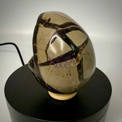 Septarian Druzy Dragon Egg UV Reactive