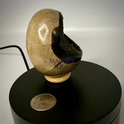 Septarian Druzy Dragon Egg UV Reactive