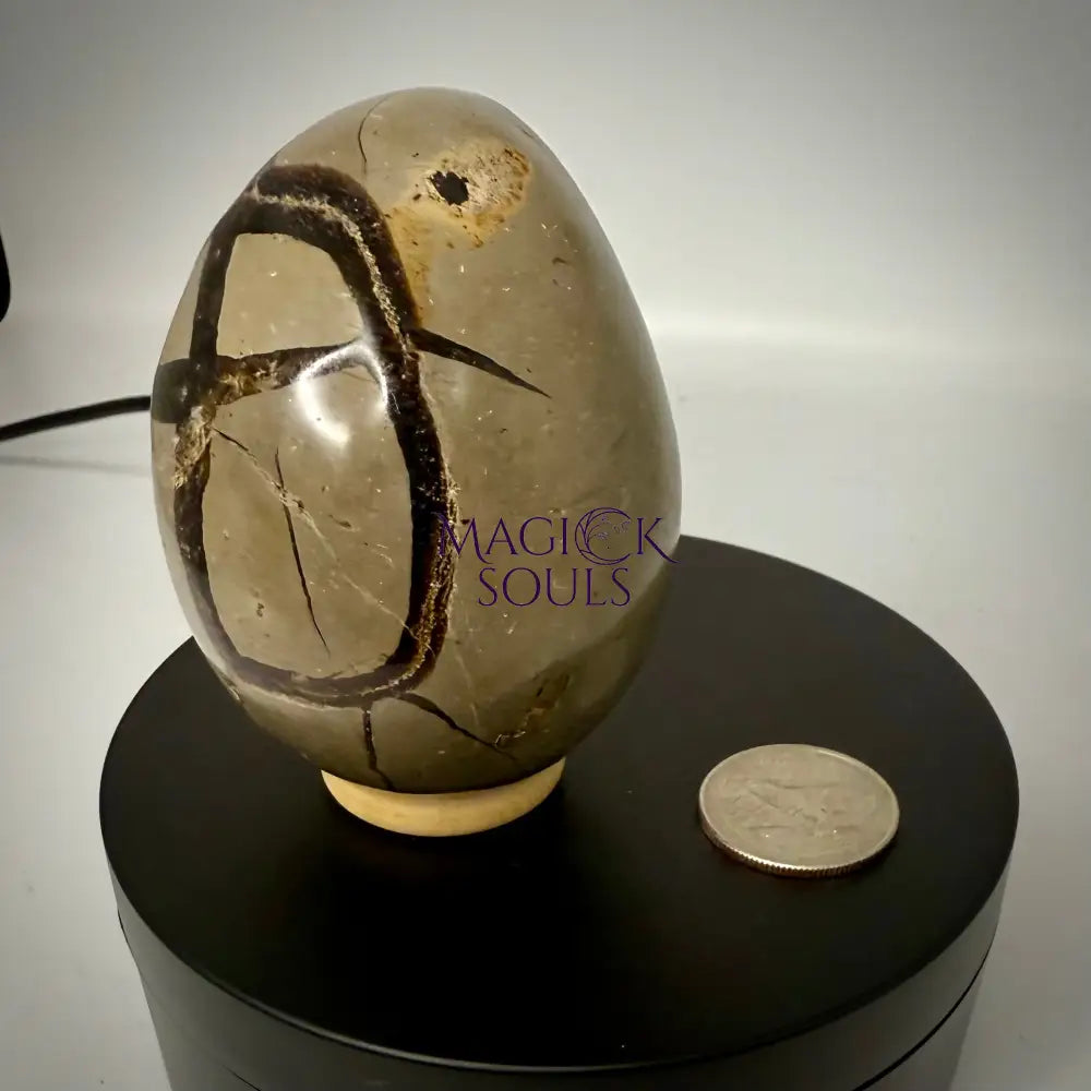 Septarian Druzy Dragon Egg UV Reactive