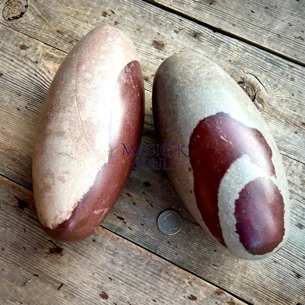 Shiva Lingam Narmada aka "The Holy Stone"