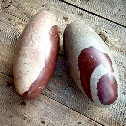 Shiva Lingam Narmada aka "The Holy Stone"